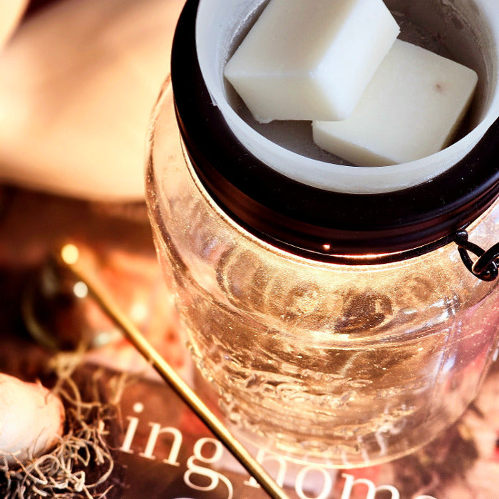 Edison Bulb Wax Melt Warmer 