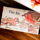 The Jay by Philippine Herring, Fetze Pijlman Open 